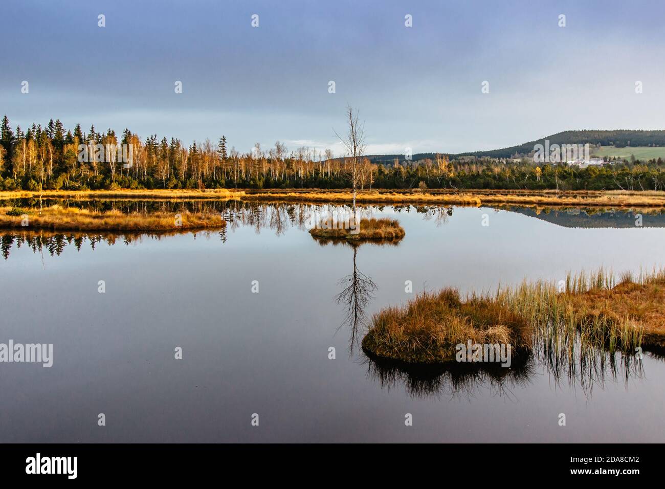 Sumava Mountains High Resolution Stock Photography and Images - Alamy