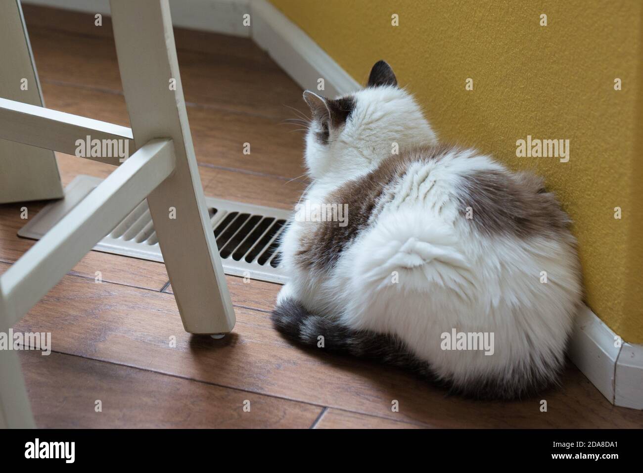 Sleeping on warm vent hires stock photography and images Alamy