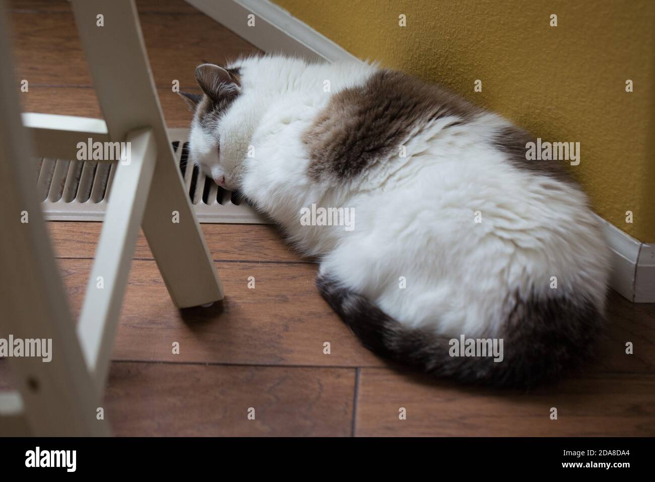 Vent heating hires stock photography and images Alamy