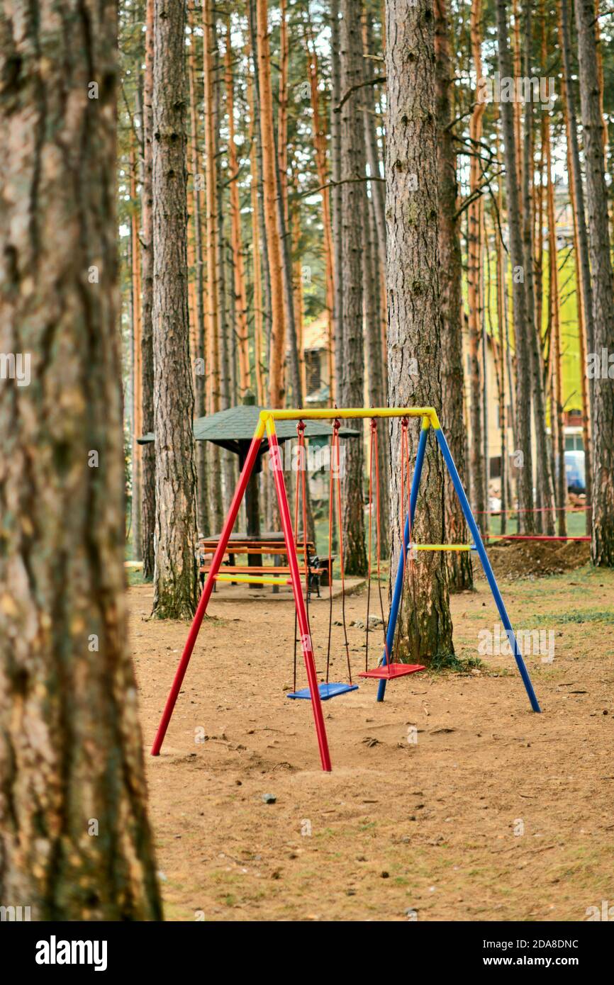 Empty swing in pine wood park in autumn morning Stock Photo
