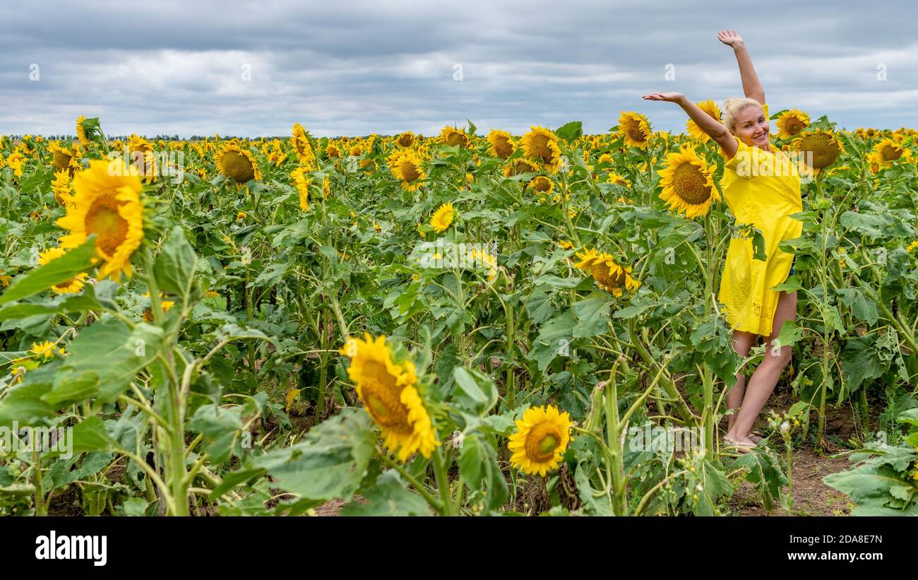 Download Sunflower Drawing Child High Resolution Stock Photography And Images Alamy