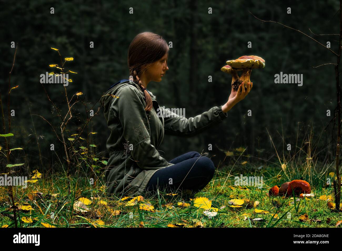 A woman sitting in forest, holding and checking wild mushrooms in hand. Risk of mushroom poisoning concept. Safe mushroom hunting, foraging, picking. Stock Photo