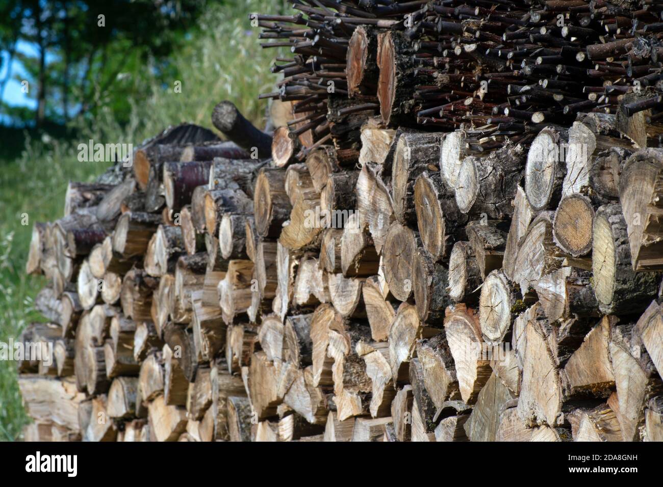 pile of  oak wood cut and arranged ready to be burned in selective foucus picture Stock Photo