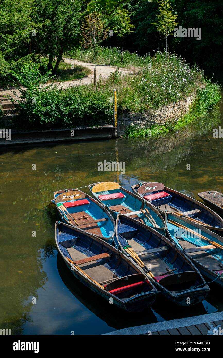 Oxford, UK 23/06/20: Punting boats by Magdalen Bridge Boathouse on river Cherwell in Oxford, many boats docked together in rows. Bright and colorfull Stock Photo
