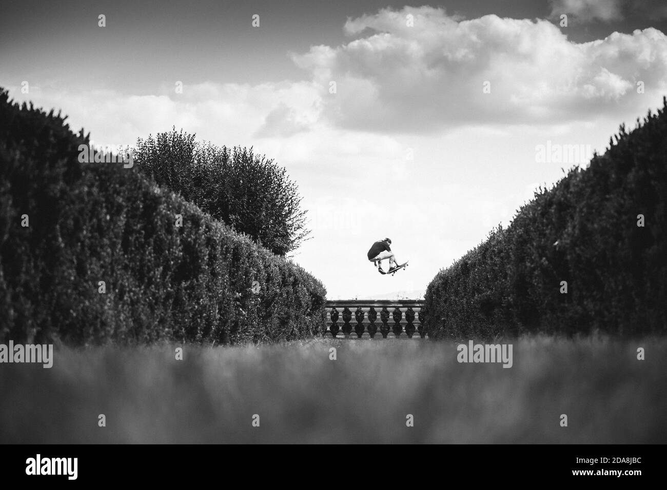 Skateboarder jumping between hedges, Krakow, Malopolska, Poland Stock Photo