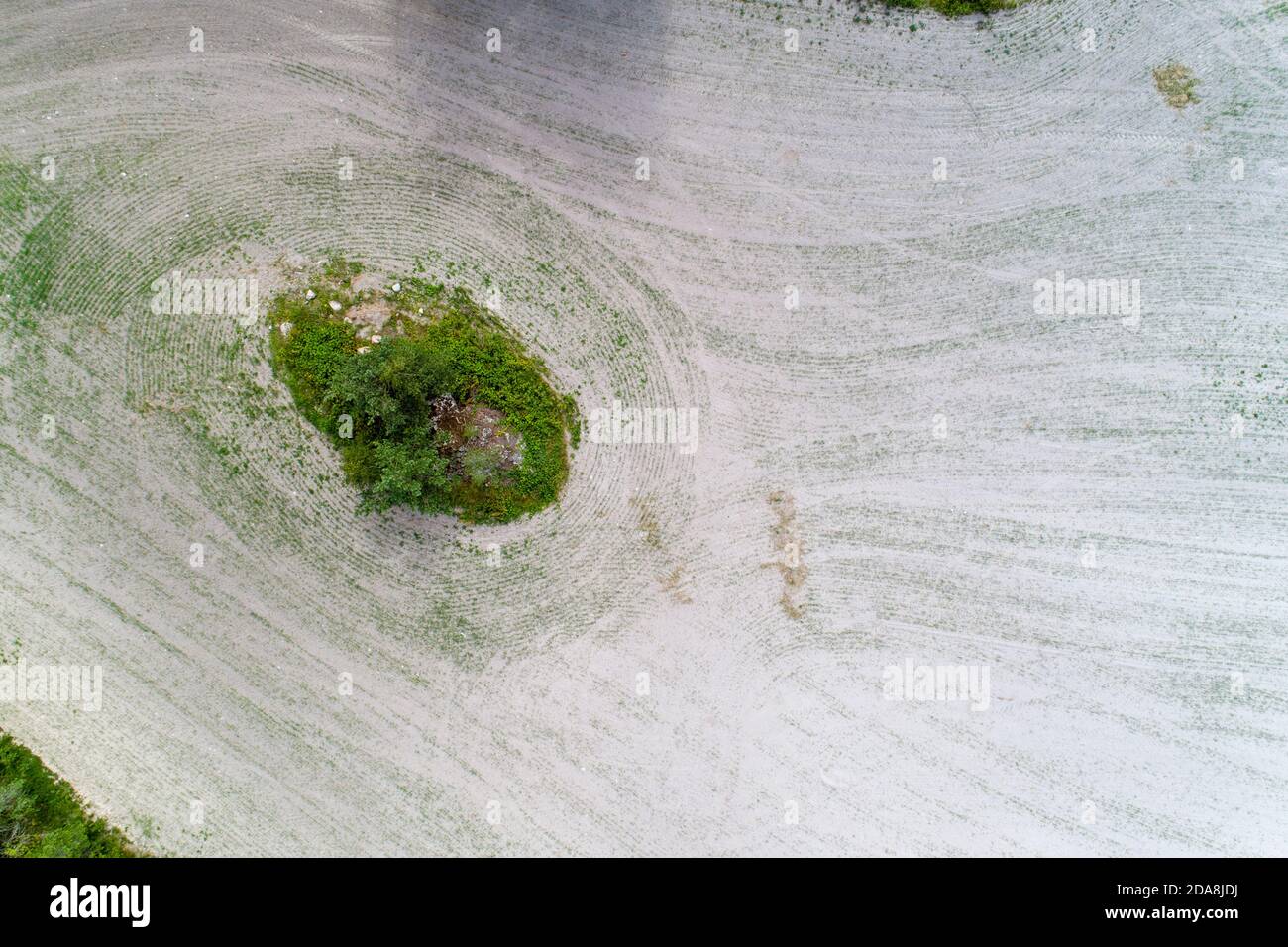 Aerial of a field with a tree in the middle Stock Photo - Alamy