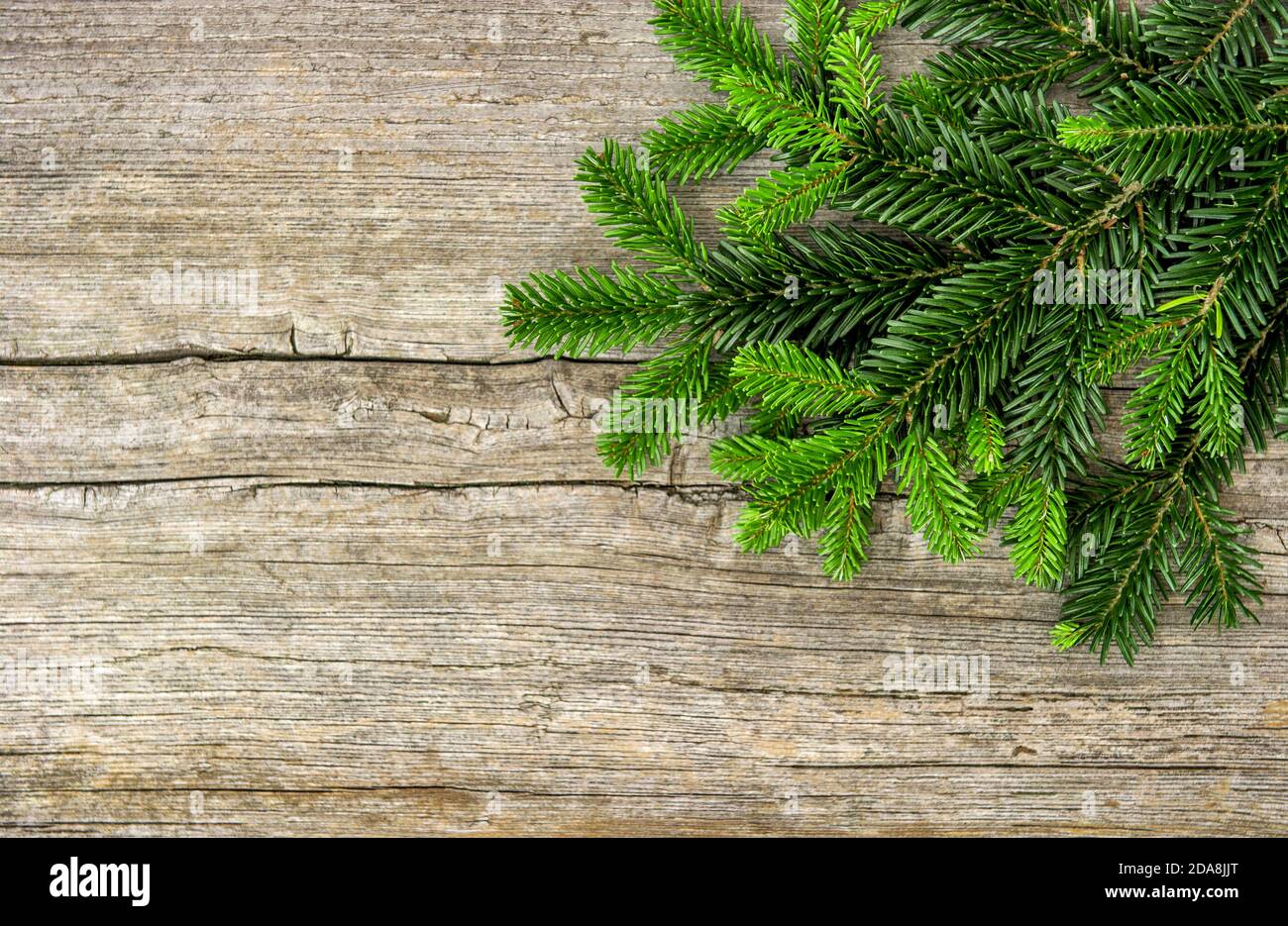 Pine tree branches on rustic wooden background Stock Photo
