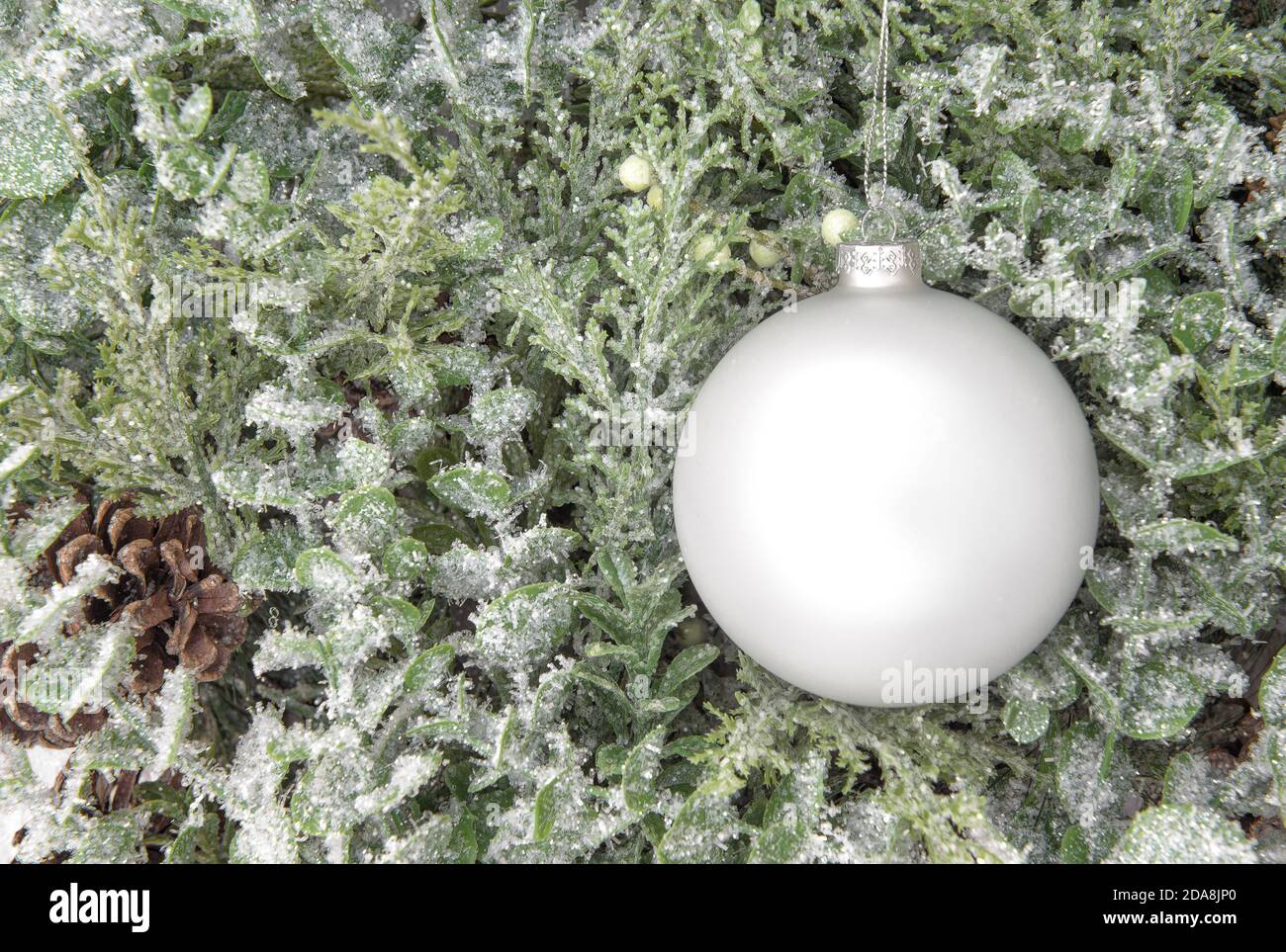 Download Bauble Christmas Ornament Mockup With Pine Tree Branches Decoration Stock Photo Alamy