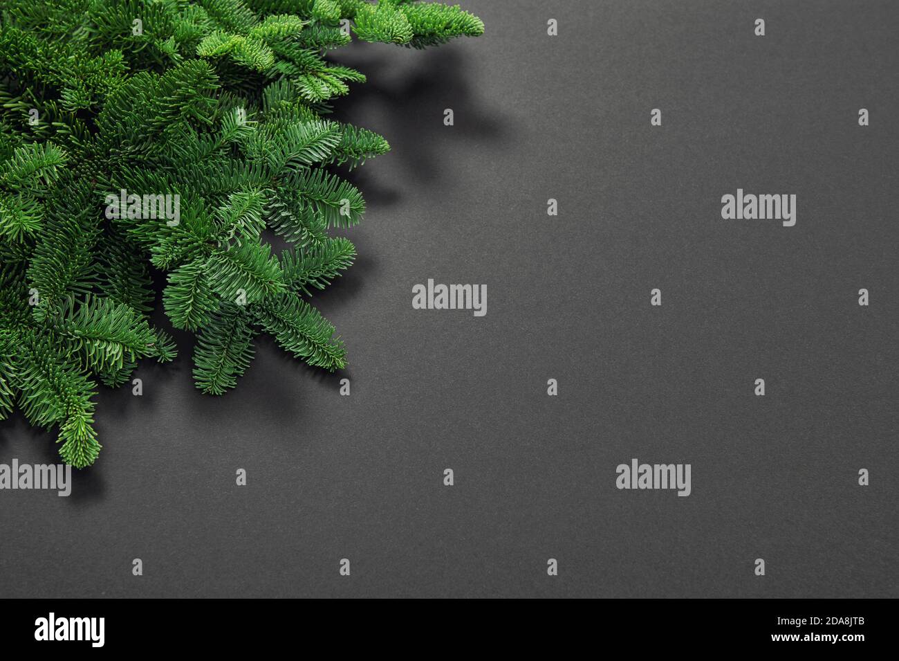 Pine tree branches. Christmas New Year background Stock Photo