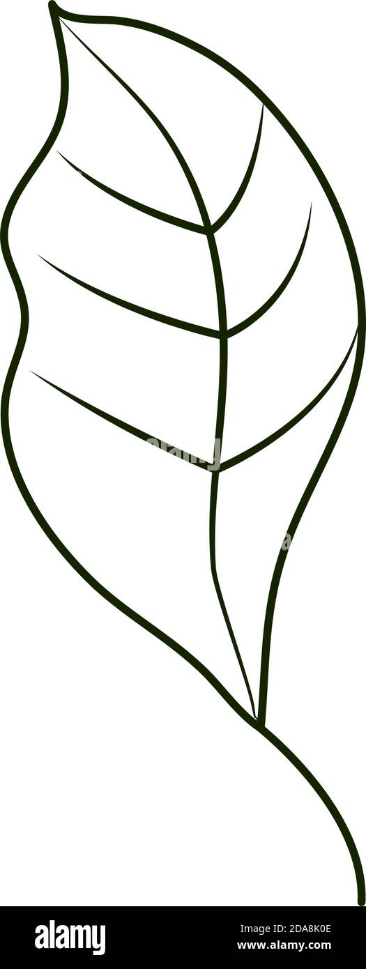 leaves line icon style, leaf natural ecology vector illustration Stock ...