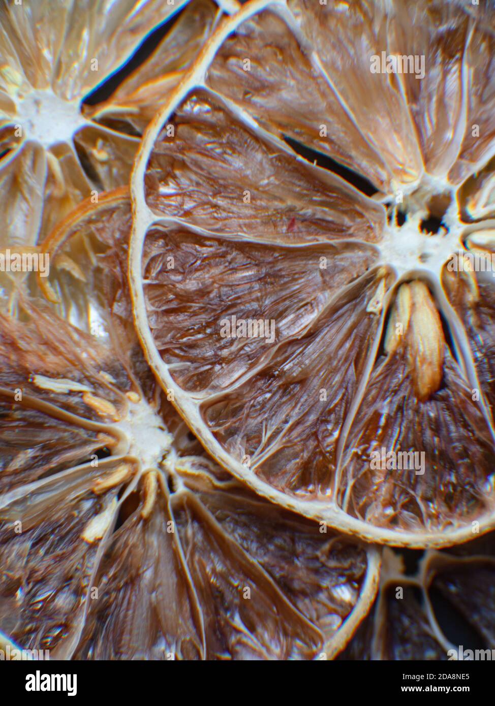 slices of dried citrus fruits. Grapefruit, lime, orange, lemon