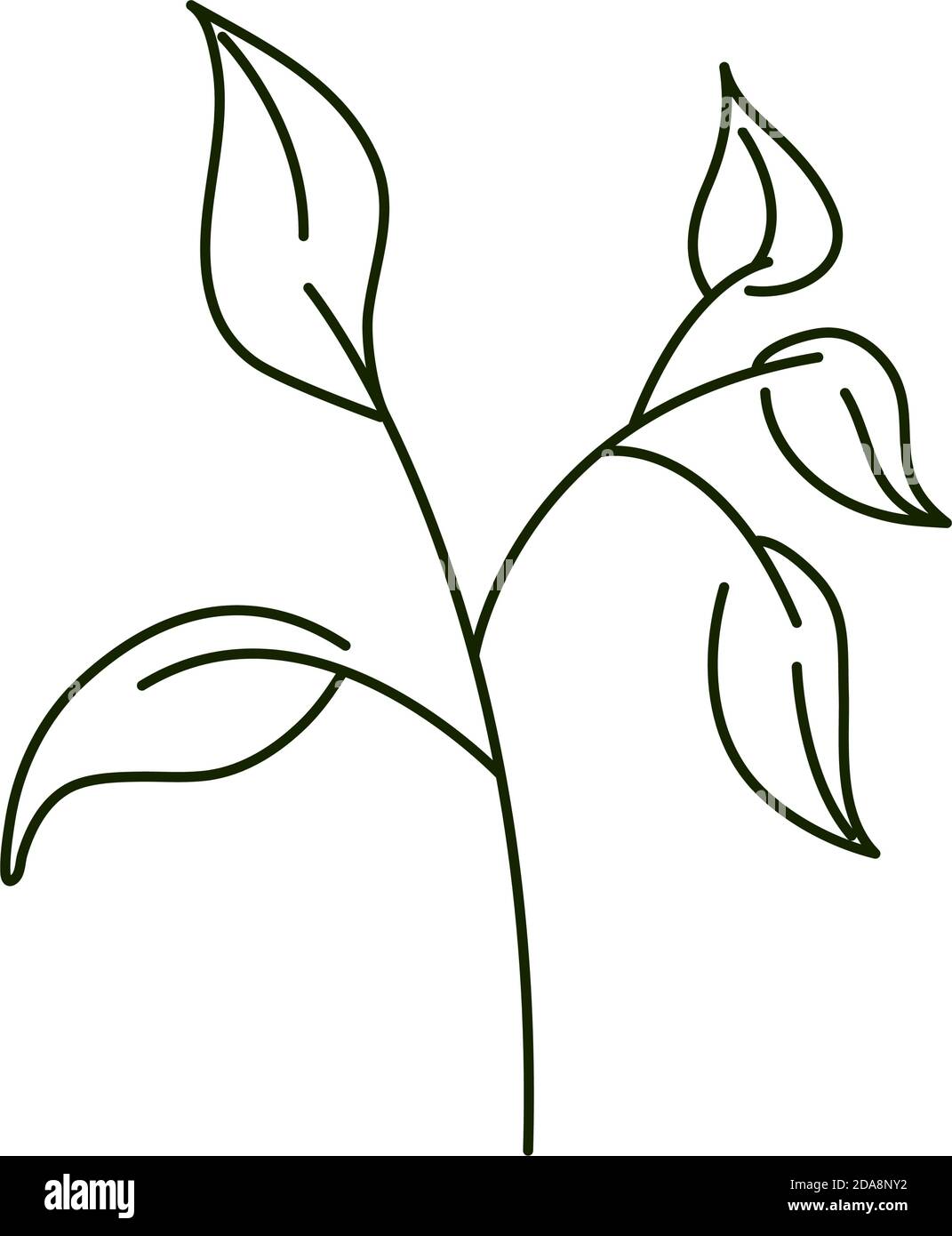 leaves line icon style, branch foliage design element vector ...