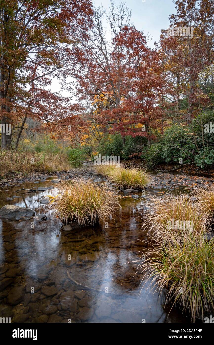 Beautiful nature landscape with trees wearing autumn colors Stock Photo ...
