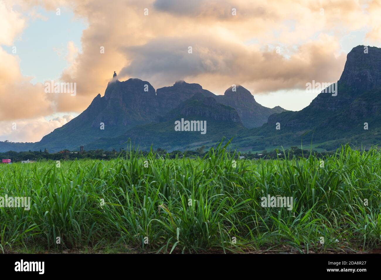 Mauritius, Pamplemousses disctrict, Creve Coeur, sugar cane fields, Long Mountain Stock Photo