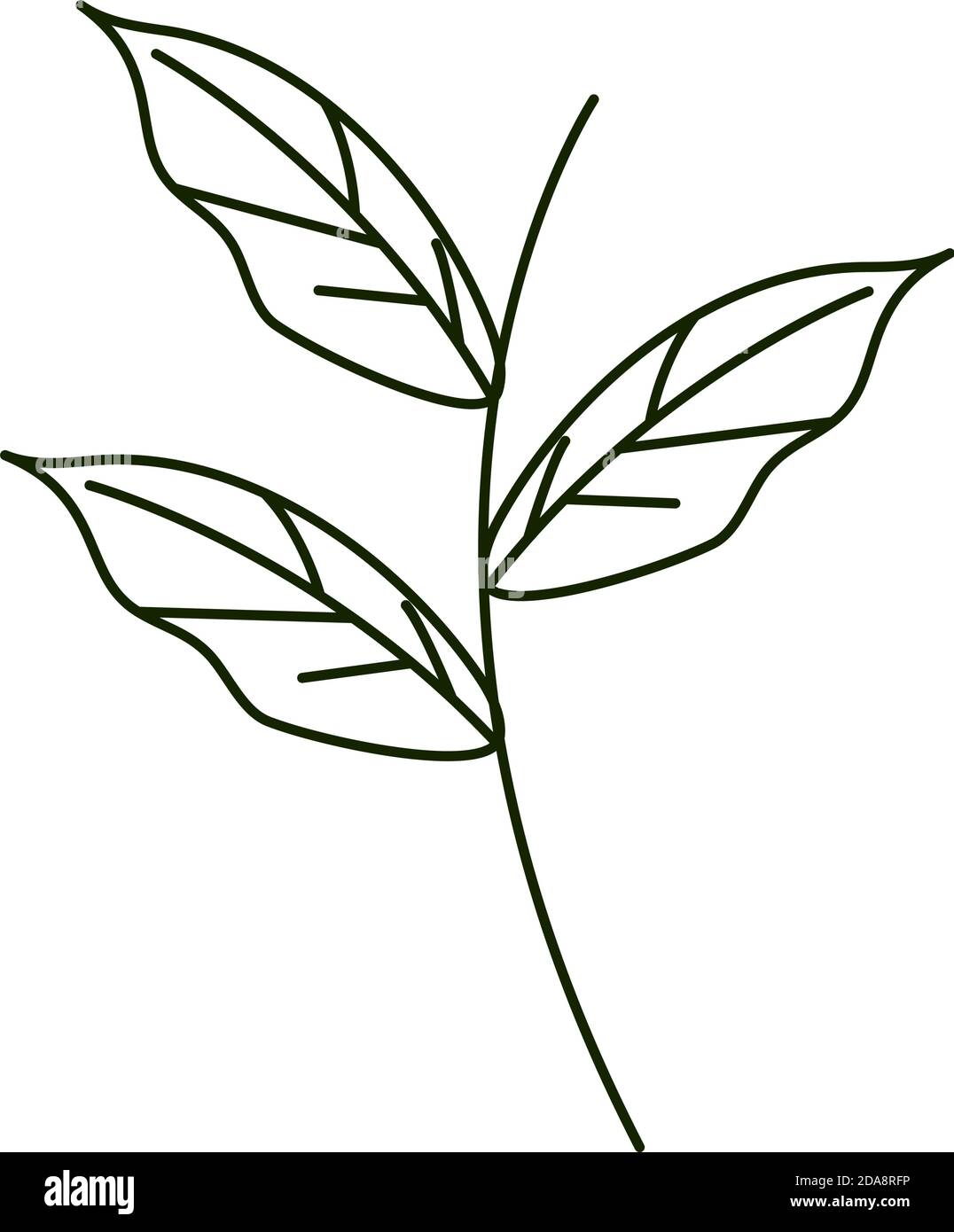 leaves line icon style, branch foliage botanical vector illustration ...