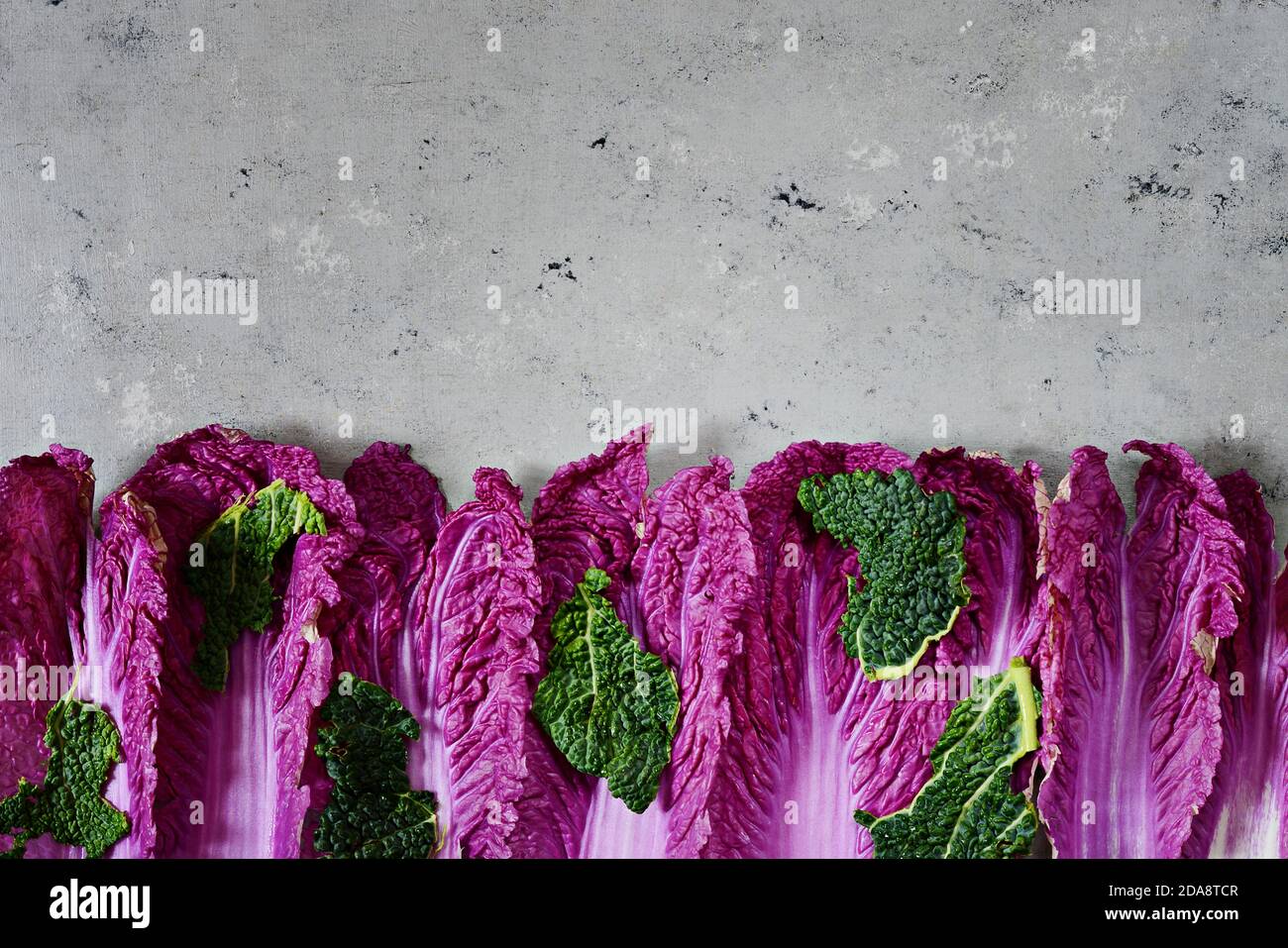 Fresh leaves of purple Chinese cabbage with green savoy cabbage leaves on a gray background. Flat lay. Seasonal vegetables, top view. Stock Photo
