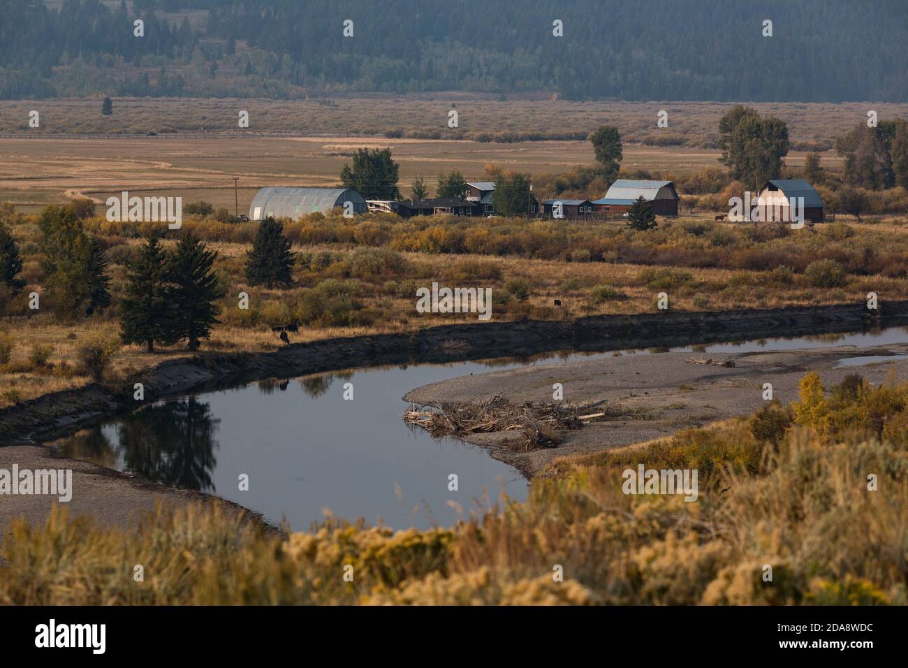 A working cattle ranch along the Buffalo Fork River in the Buffalo