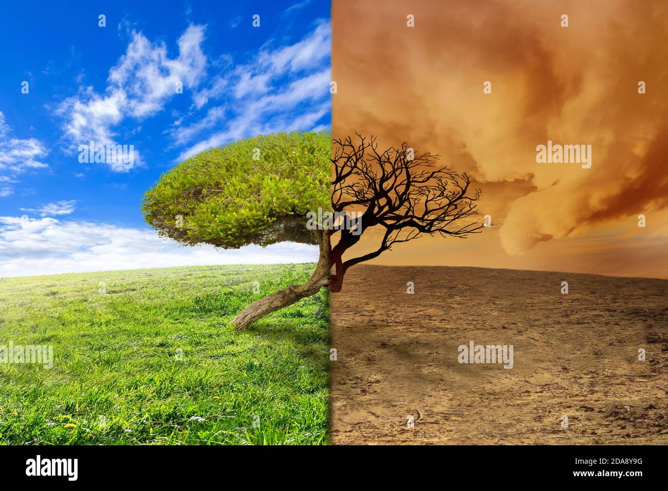 Climate change landscape with tree Stock Photo - Alamy