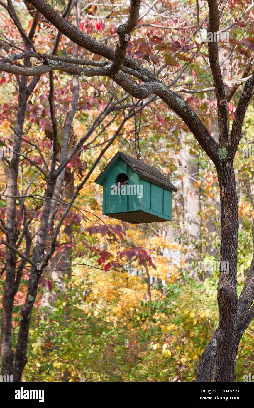 Colorful handmade wooden green/teal birdhouse hanging from tree branch during the fall season. Stock Photo