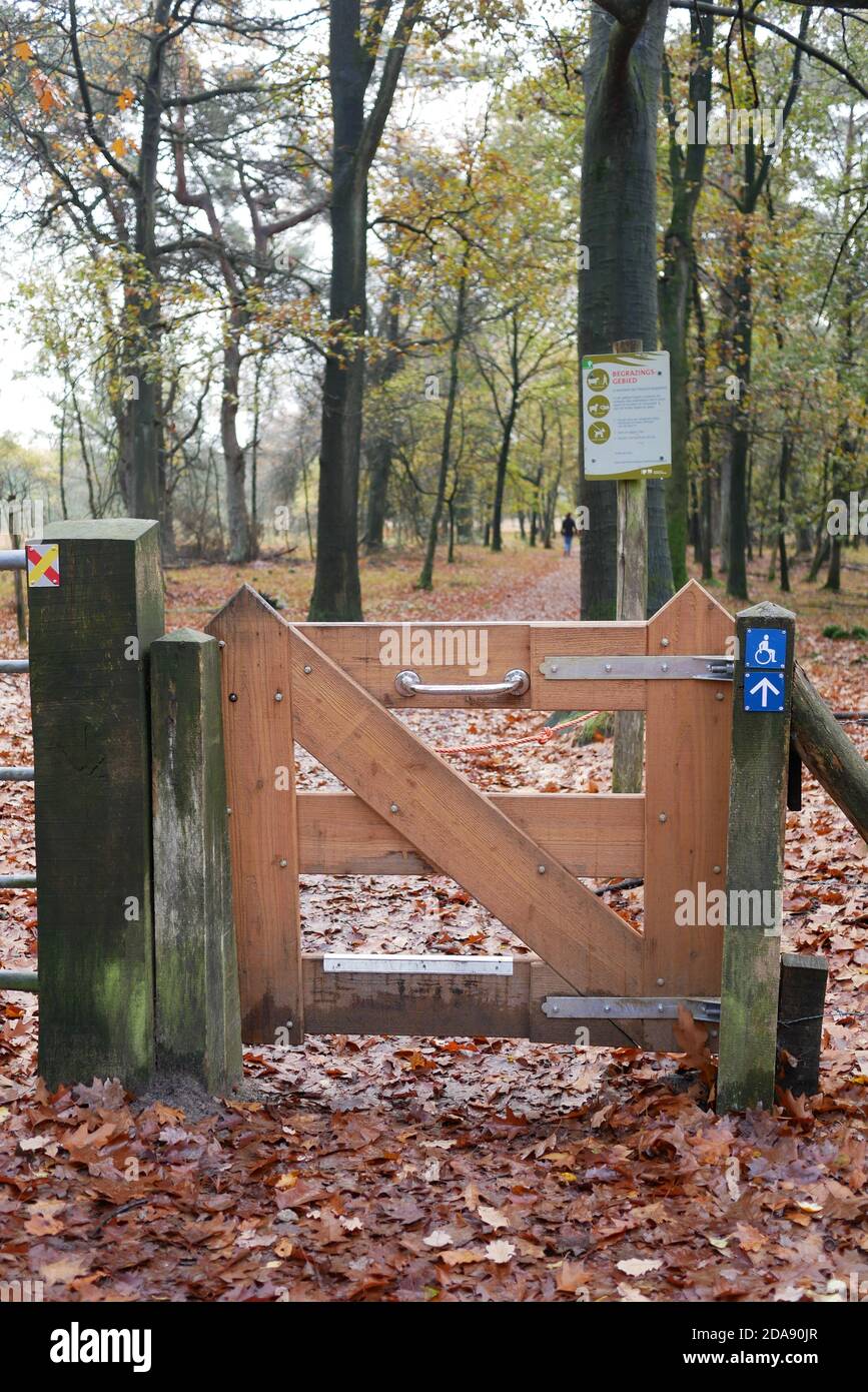 Wheelchair accessible gate in a forest in the Netherlands Stock Photo