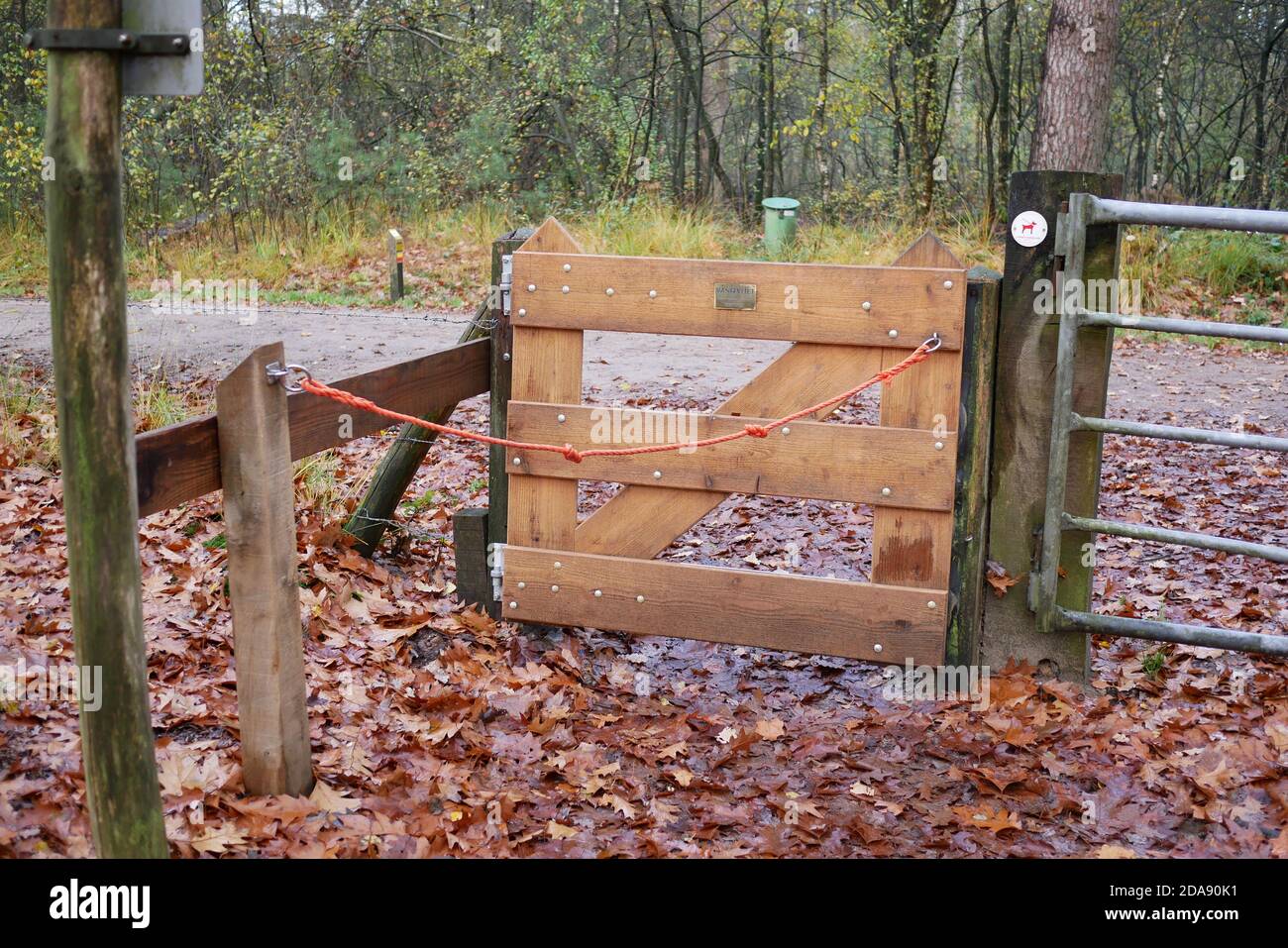 Wheelchair accessible gate in a forest in the Netherlands Stock Photo