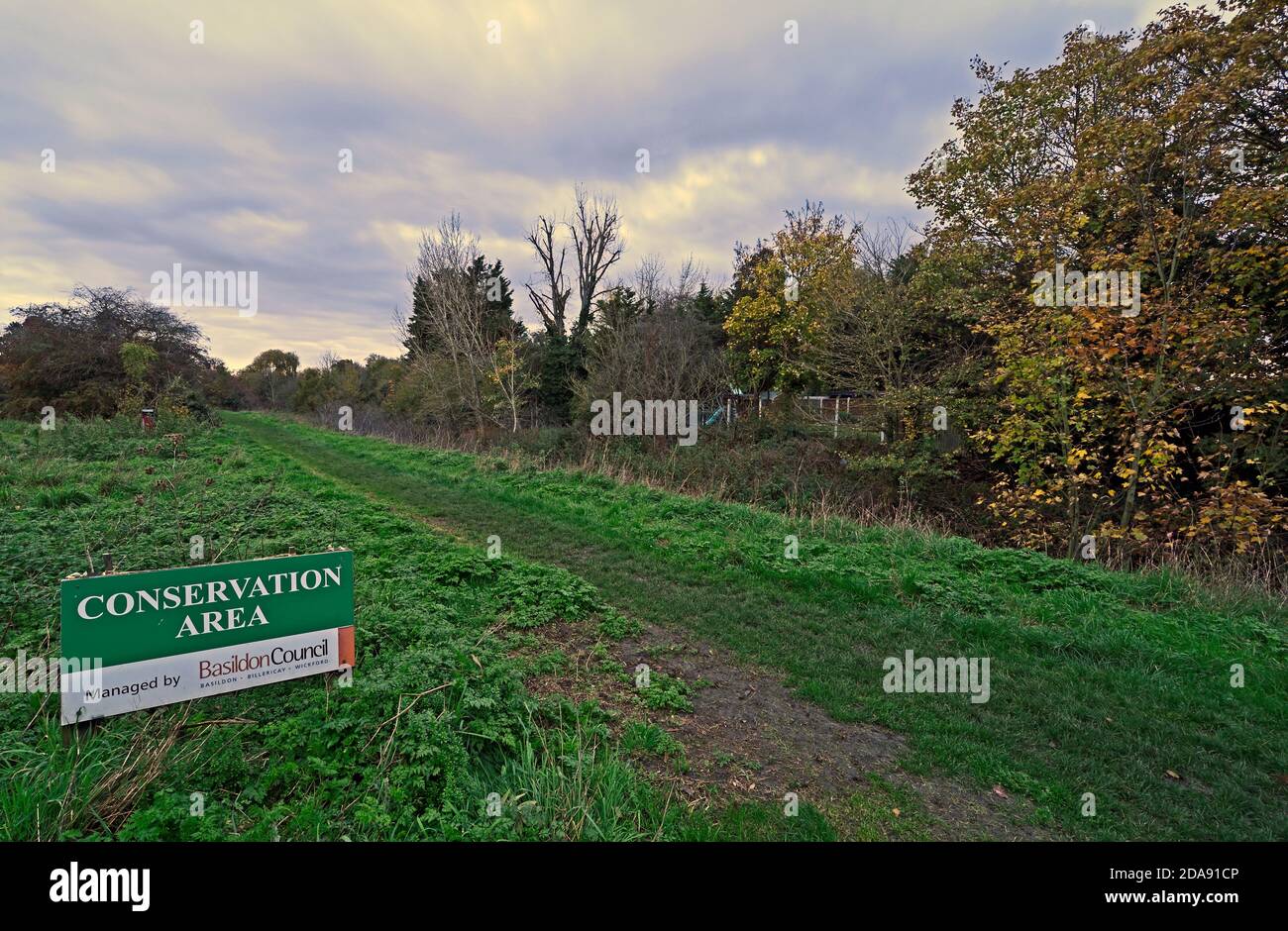 The River Crouch, looking north from near the London Road Bridge at