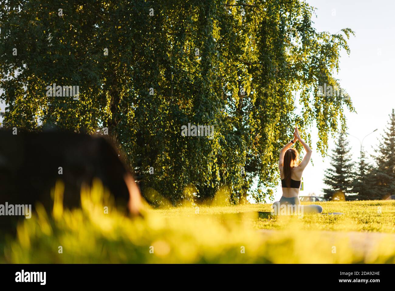 Back view of flexible young woman sitting on yoga mat in lotus position ...