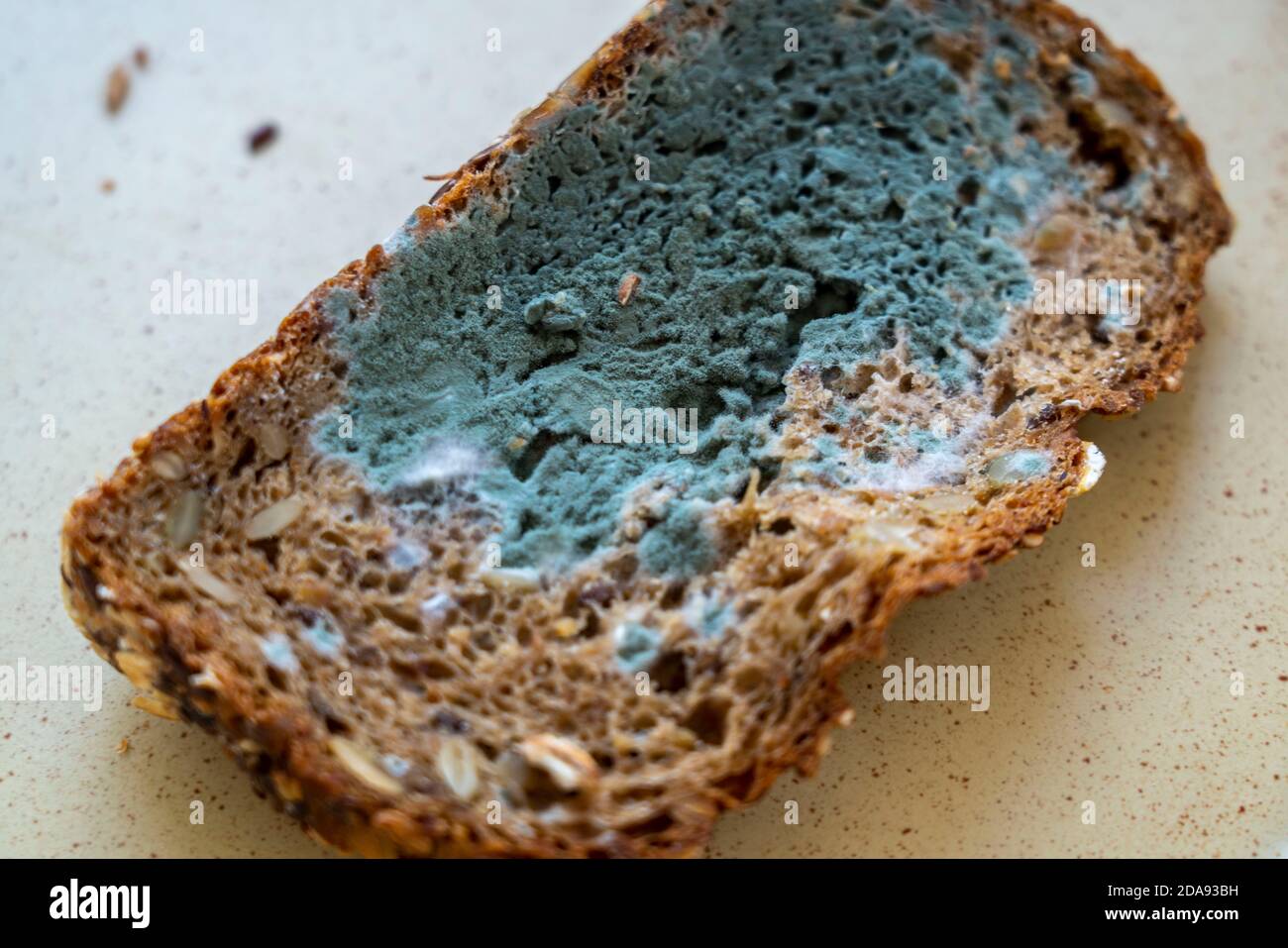 Moldy white bread hi-res stock photography and images - Alamy