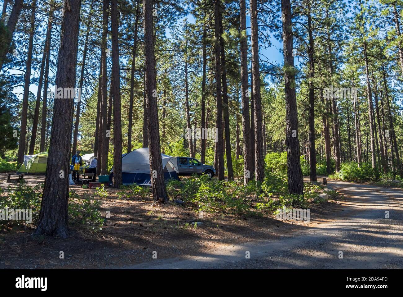 Main campground, Mancos State Park, Mancos, Colorado Stock Photo Alamy