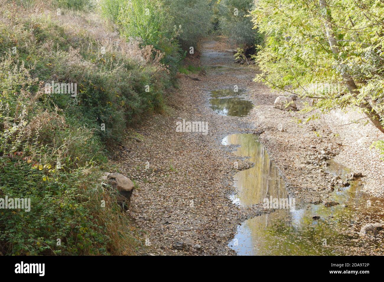 Dry river in november hi res stock photography and images Alamy