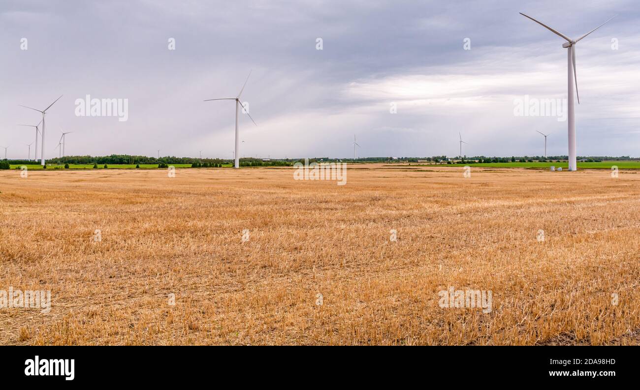 Wind Turbines Farm field Ontario Canada Stock Photo Alamy
