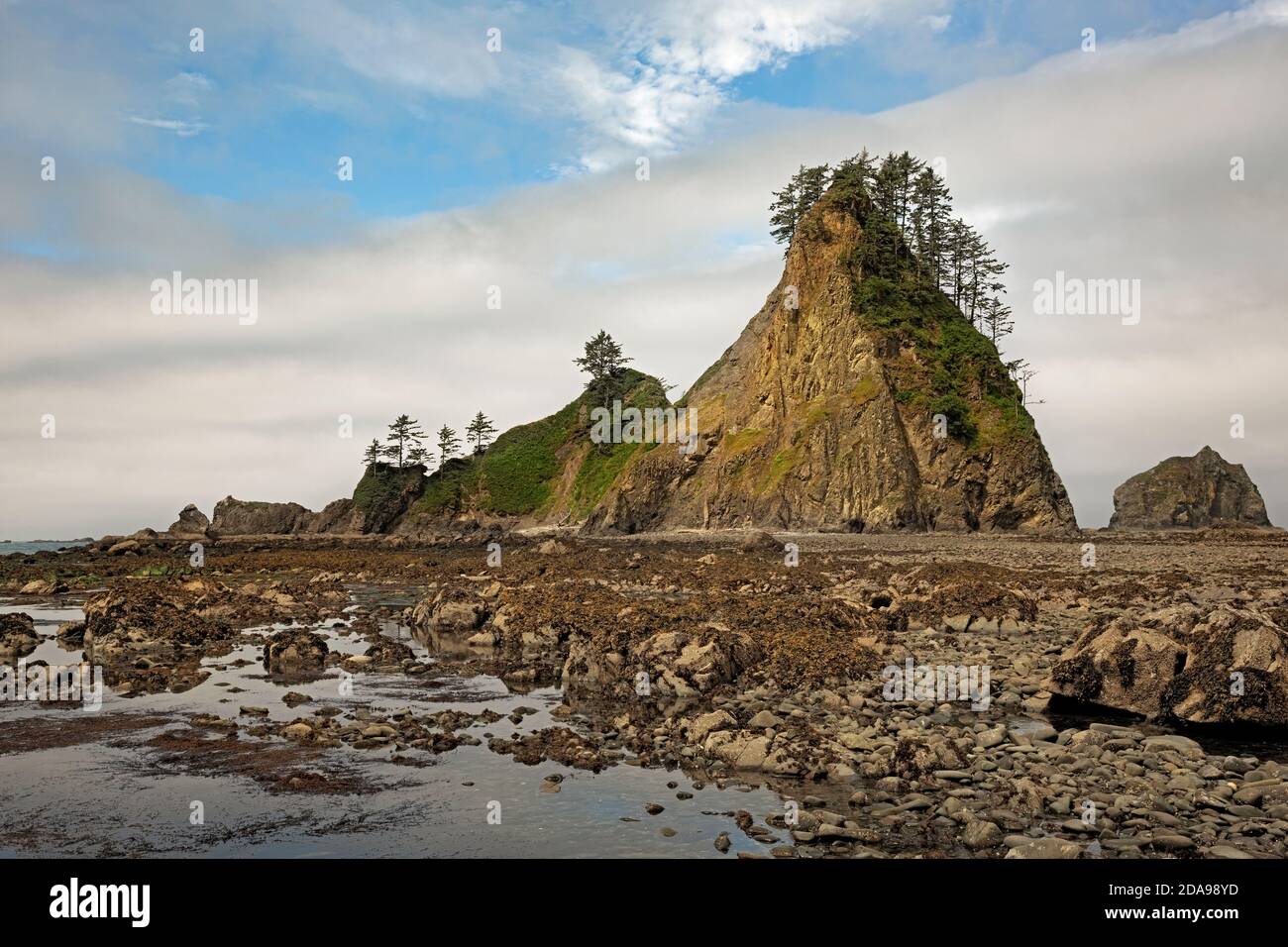 Point brown peninsula washington hires stock photography and images