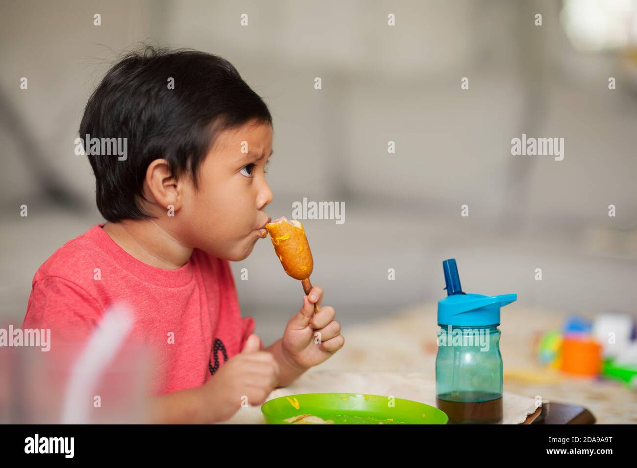 A little kid who is watching a show while having a healthy lunchtime meal, eating a corn dog with grape juice. Stock Photo