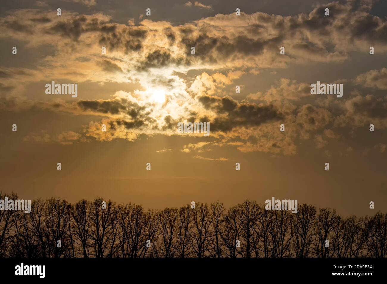 Tree silhouettes and bright orange evening sunlight from behind small clouds. Stock Photo