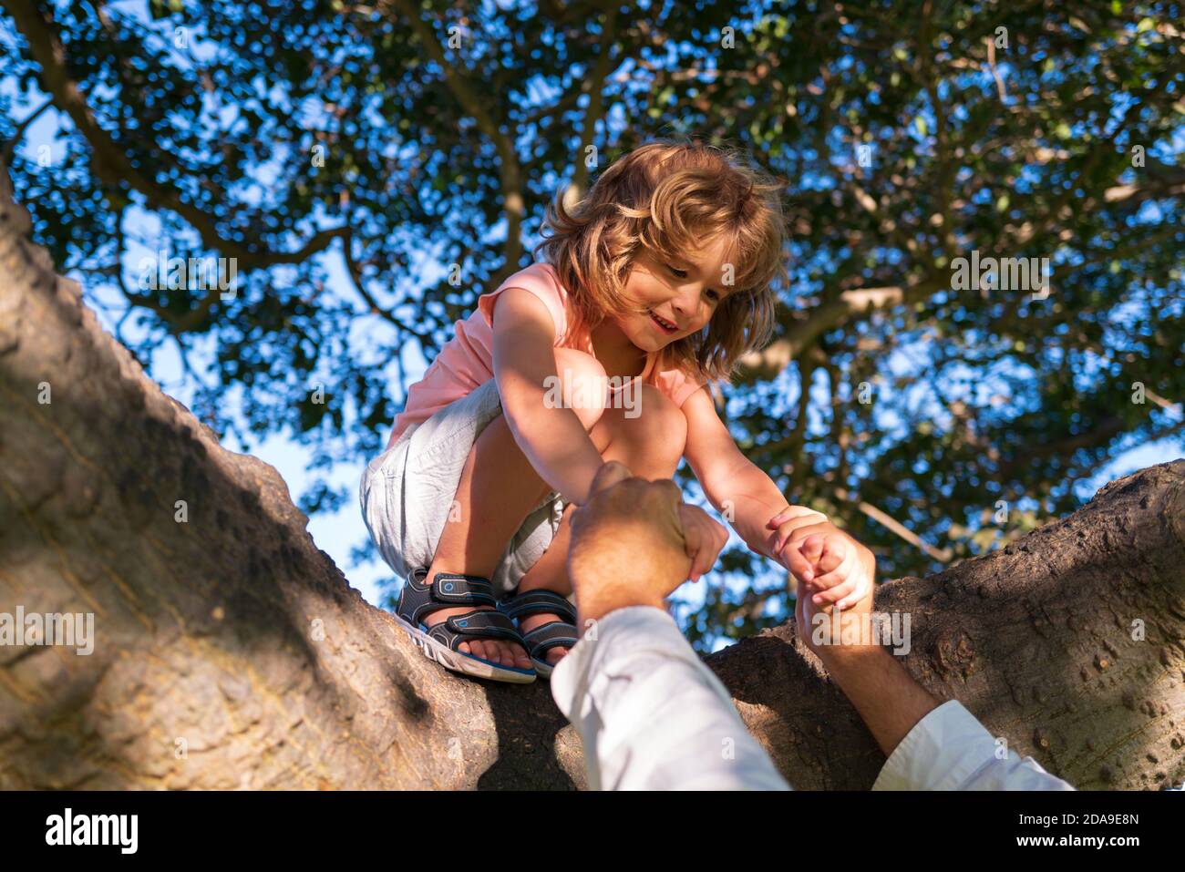 Insurance kids. Kids climbing on a trees. Child protection. Parent holds the hand of a child. Stock Photo
