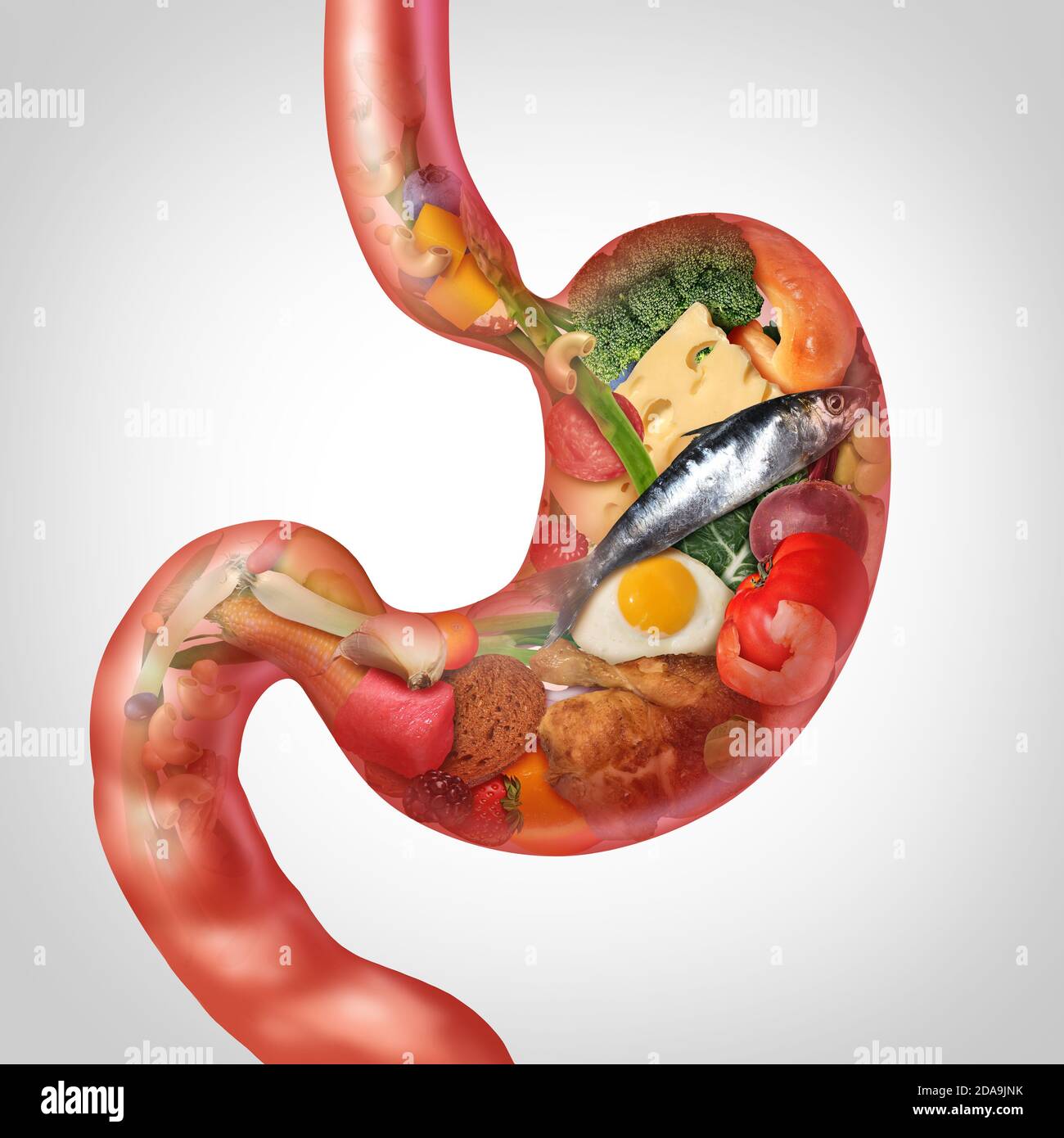 Food digestion and  digesting nutrition as ingredients shaped as a stomach representing gastrointestinal health or digestive problems. Stock Photo