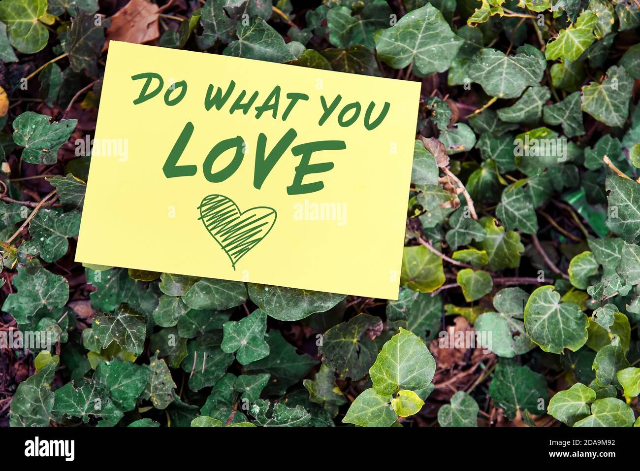 Do what you love concept written on paper on green leaf background. Inspirational quote for motivation, happiness or success in business or life. Stock Photo