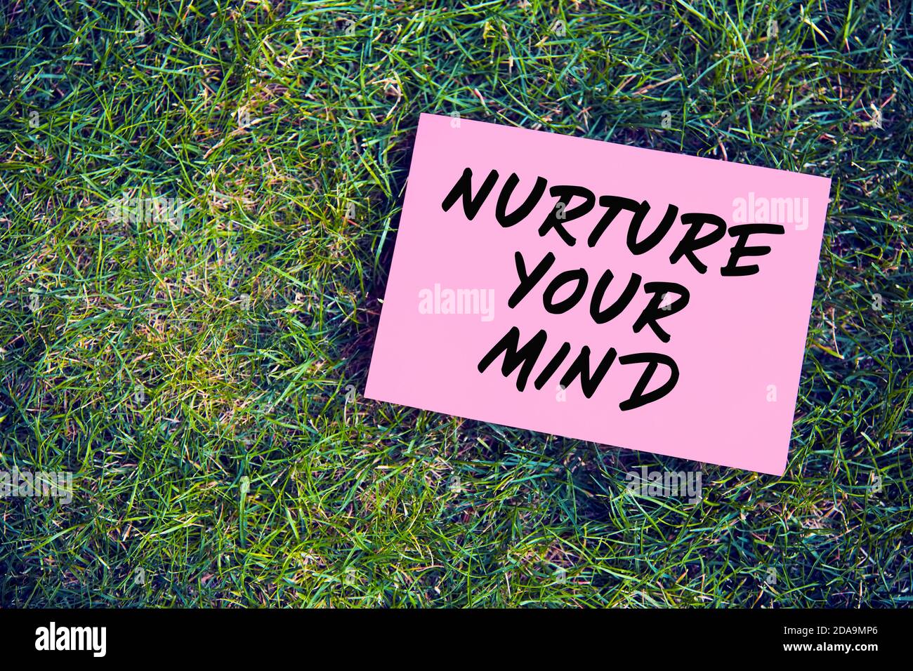 Nurture your mind motivational quote written on paper on green grass background. The effect of thoughts on mind and body concept. Stock Photo