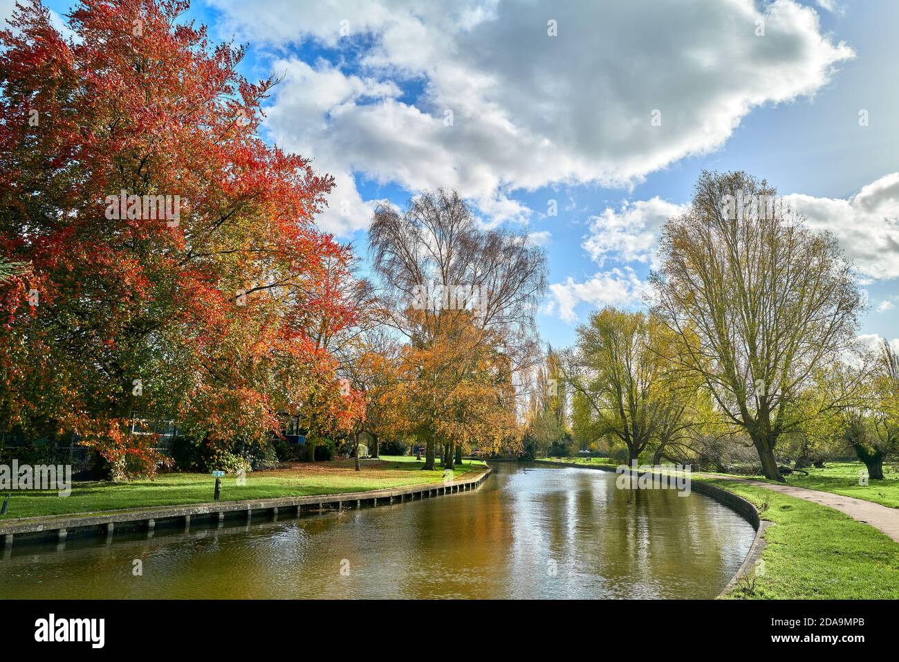 Trees and a path alongside the River Cam, Cambridge, England on a sunny ...