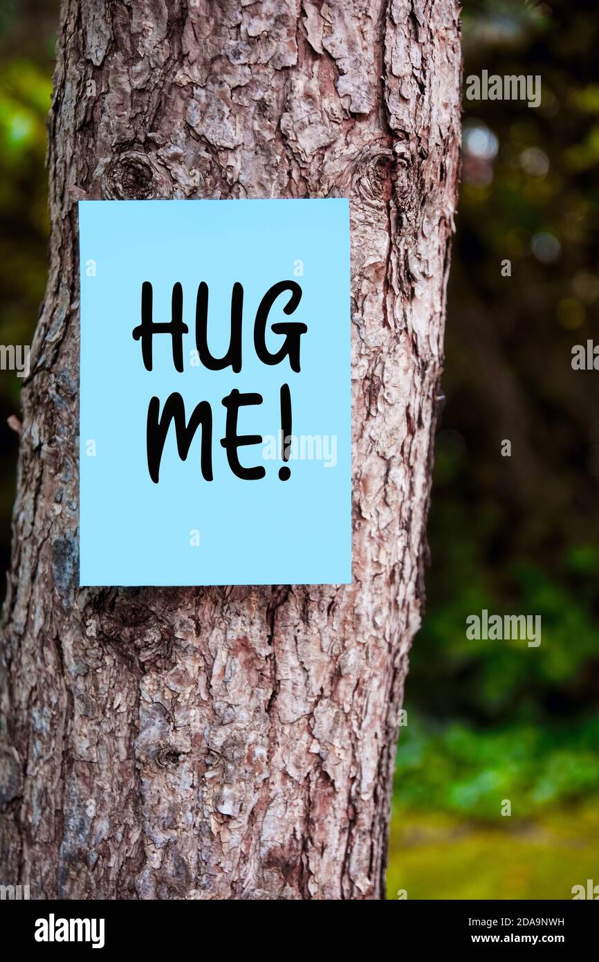 Hug me message handwritten on a blue paper mounted on a tree in the forest. Commune with mother nature concept. Stock Photo