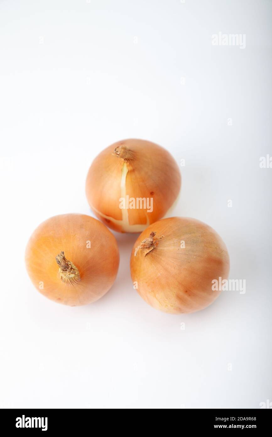 Three white raw onions on a white background. Stock Photo