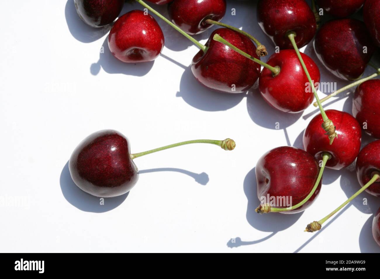 cherry, cherries (CTK Photo/Zdenek Rerych Stock Photo - Alamy