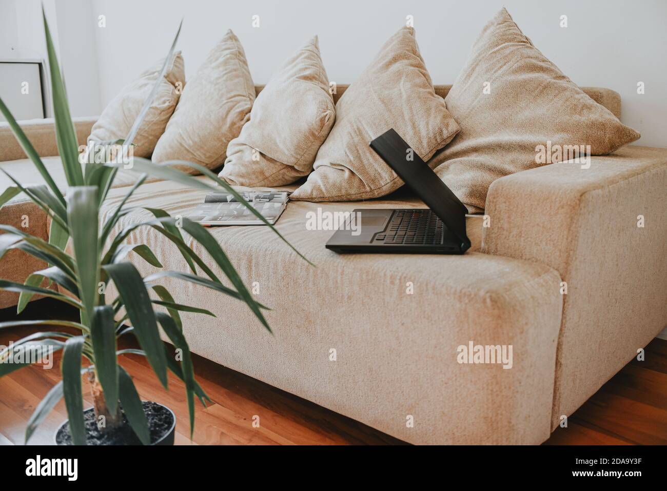 beige sofa soft cushions black laptop white wall green flower. working  space freelance loft Stock Photo - Alamy