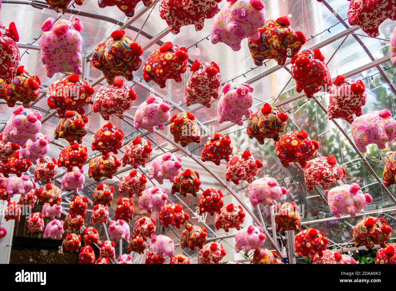 Red and pink fluffy toy pig decorations hanging, for Chinese New Year celebration, Year of the Pig, in Chinatown, Singapore. Stock Photo