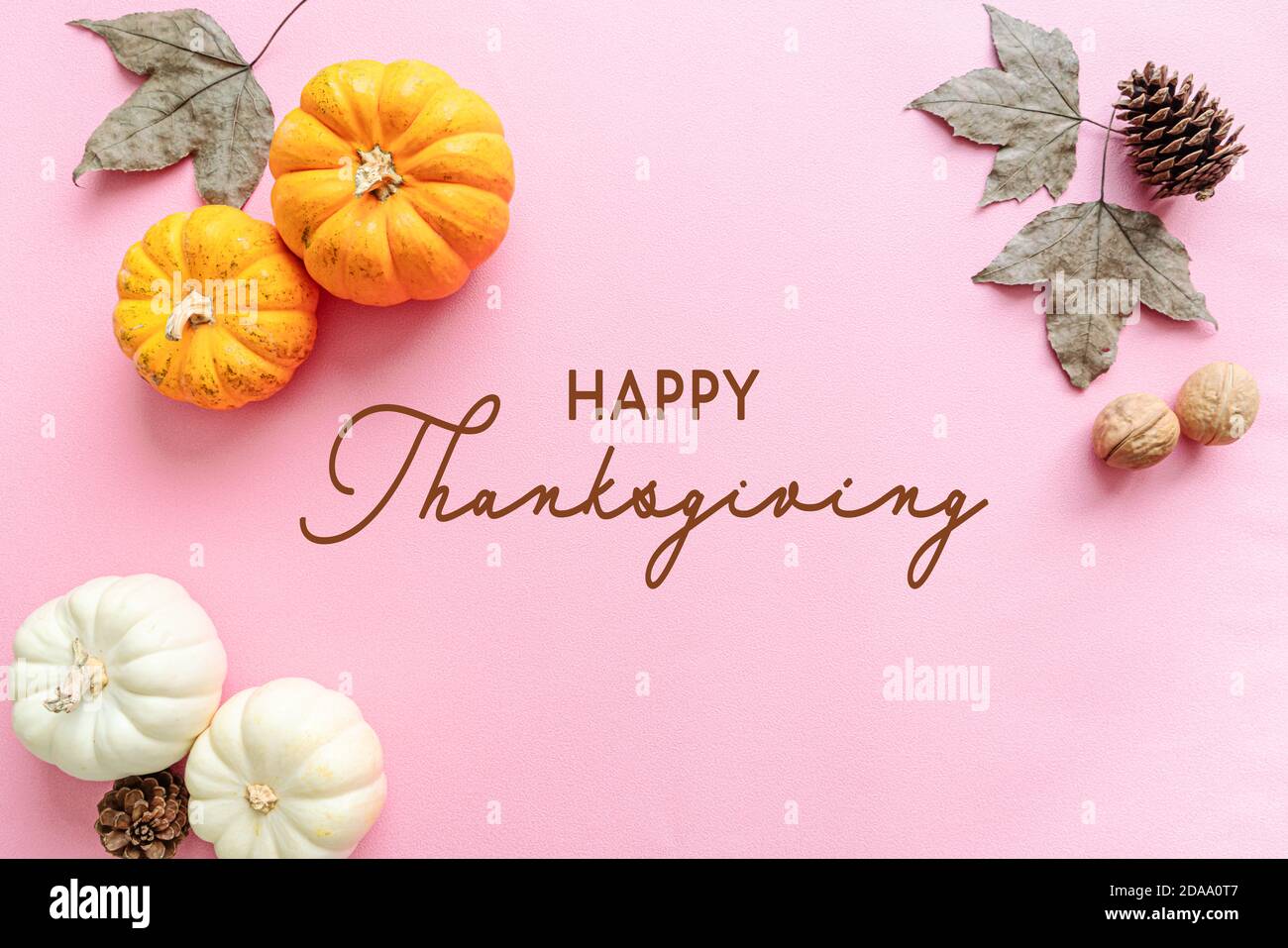 Happy Thanksgiving Day with pumpkin, maple leaf and nut Stock Photo - Alamy