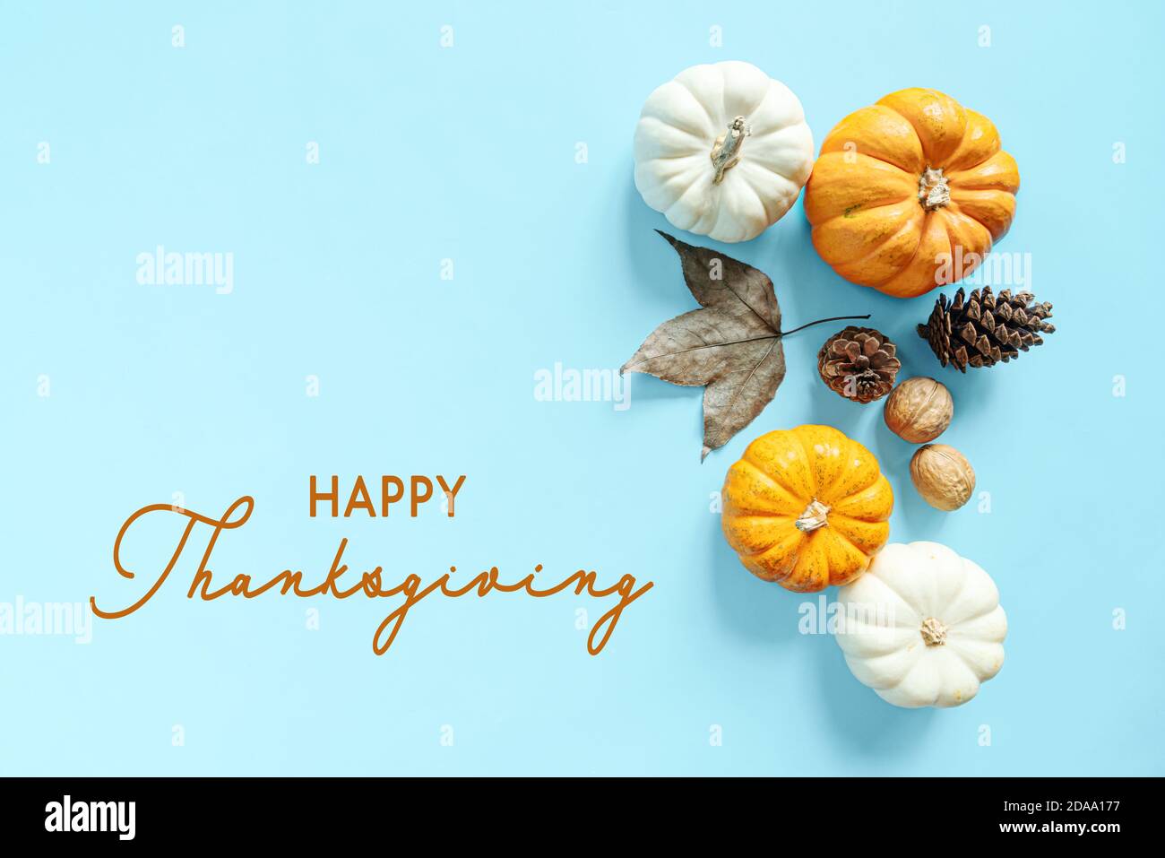 Happy Thanksgiving Day with pumpkin, maple leaf and nut Stock Photo - Alamy