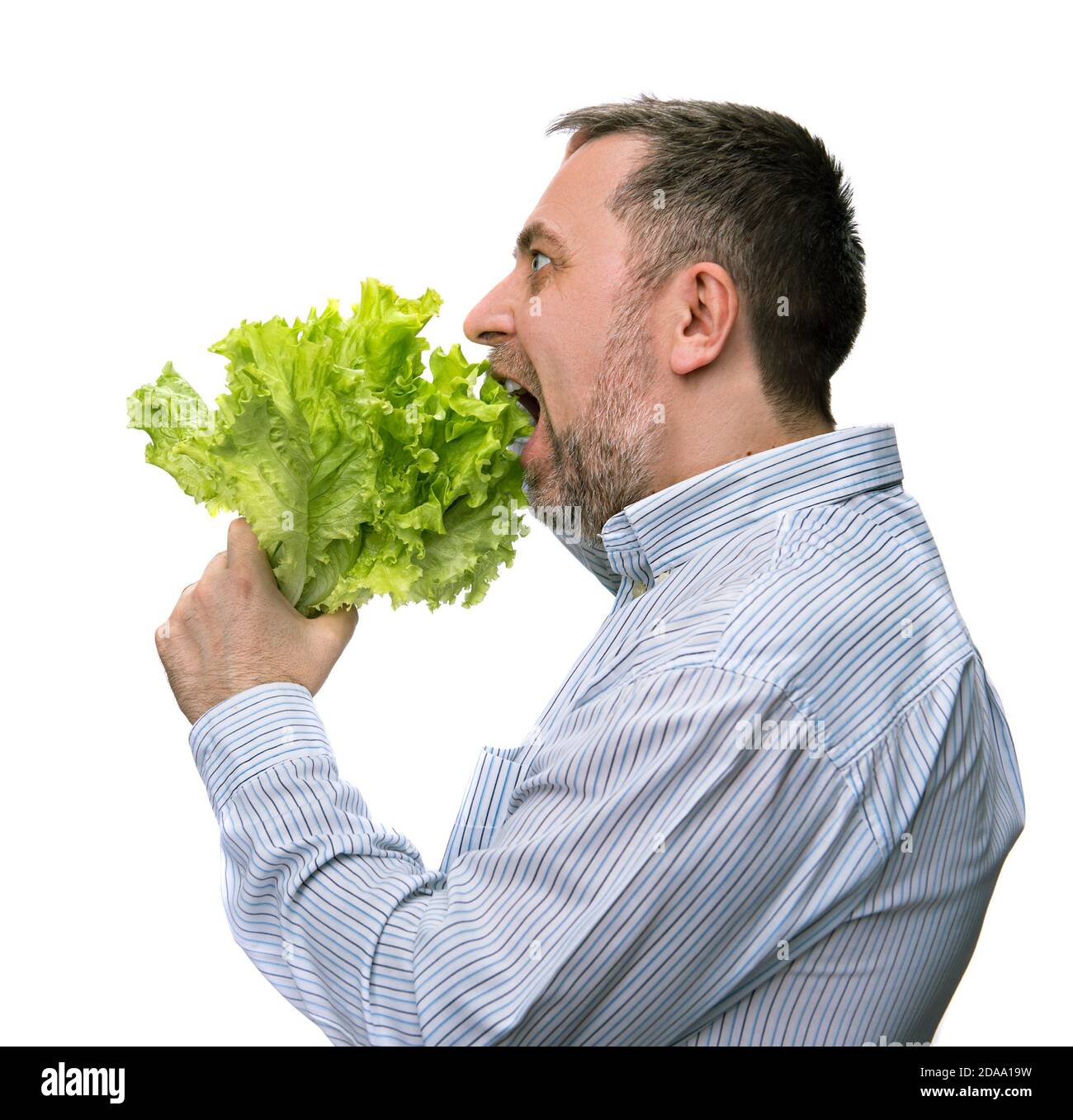 Healthy food. Man holding lettuce isolated on white Stock Photo