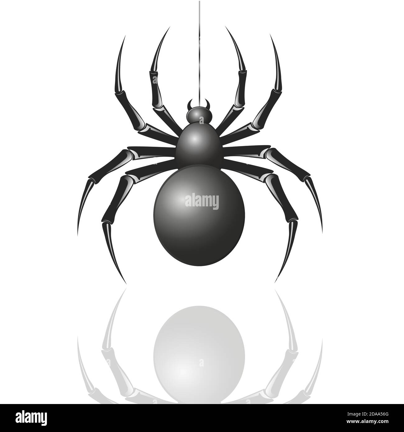 Spider on a web on a white background Stock Vector