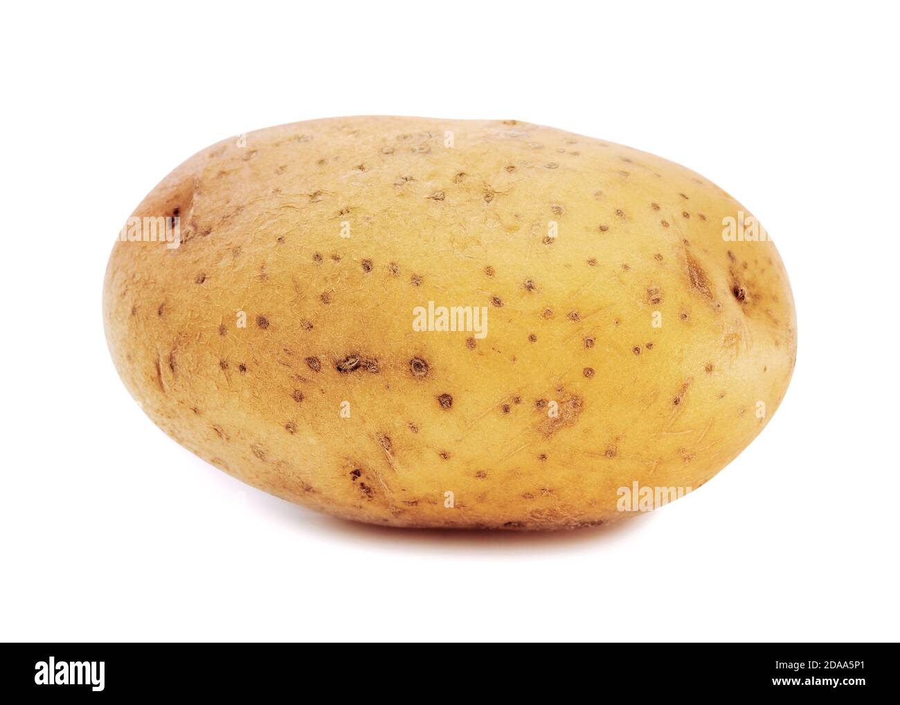 Potato on a White Background Stock Photo