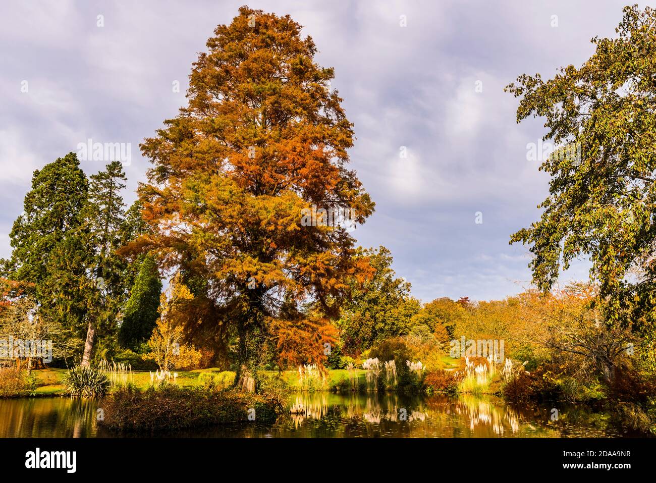 Autumn colours over the Mansion Pond at Wakehurst Gardens, Sussex, UK Stock Photo